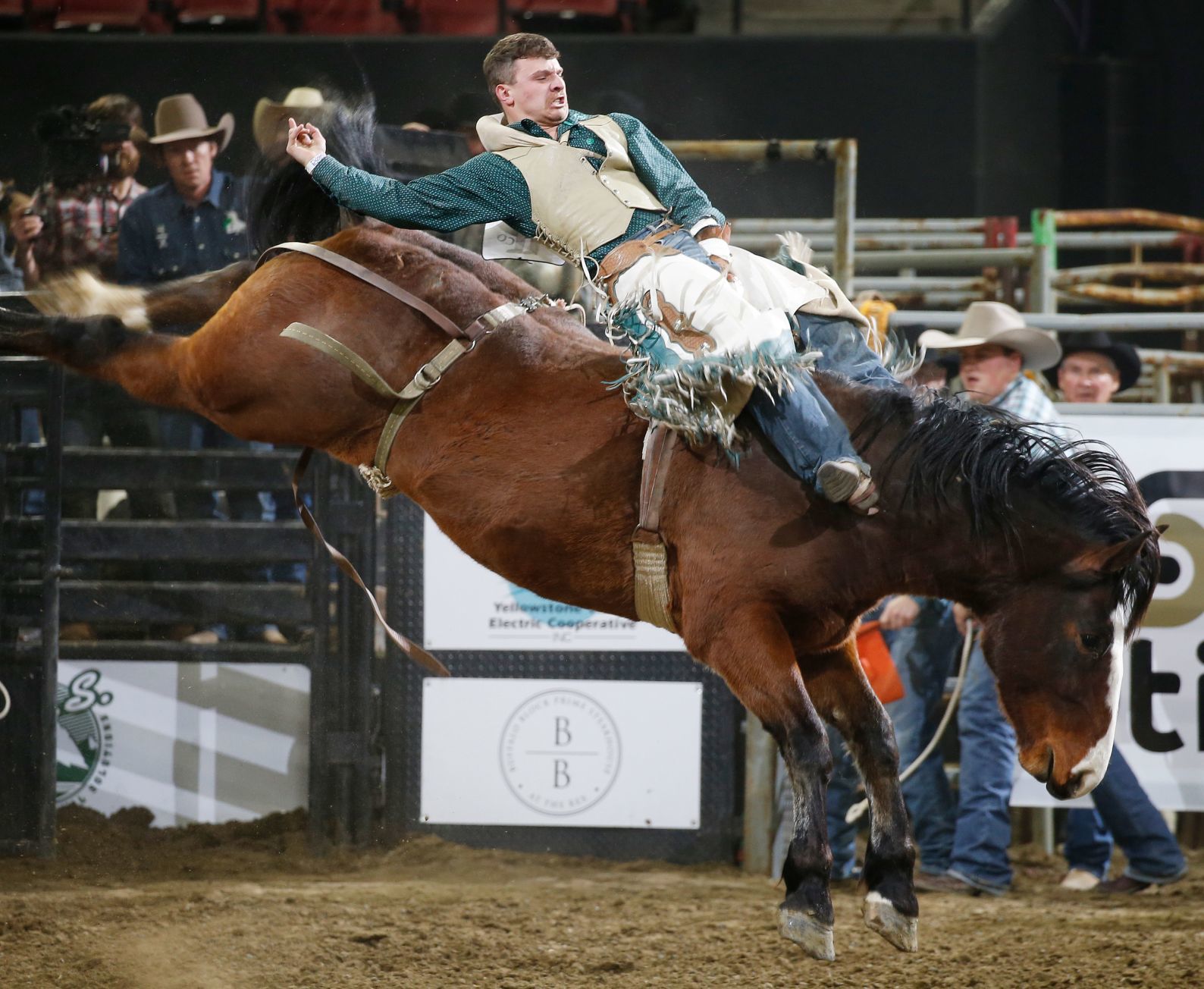 Chase Hawks rodeo